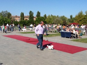 quattro zampe al parco