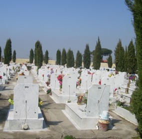 pollena cimitero