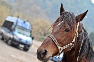 PROTESTA CONTRO CHIUSURA IPPODROMO AGNANO