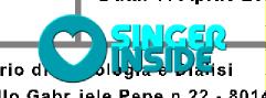 singer inside