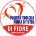 di fiore sindaco